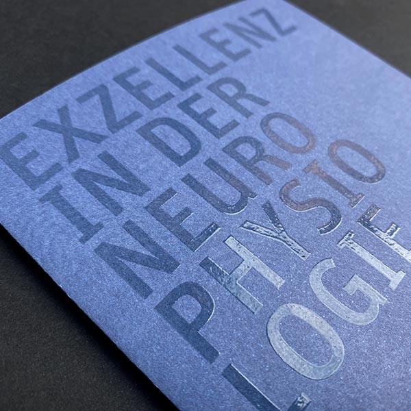 DGKN Imageflyer out 1