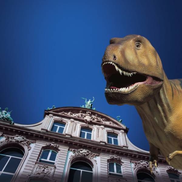 Nachts im Museum: DGKN-Kongressabend im Jügelhaus und Senckenberg Museum Frankfurt erleben